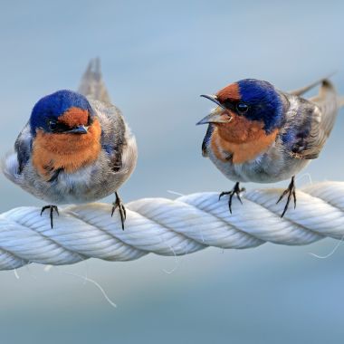 Streiten in der Beziehung